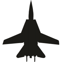 Грумман F-14 Томкэт