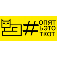 Опять этот кот