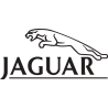 Jaguar - Ягуар