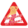 Знак Блондинка за рулем