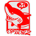 Option2 - Опция2