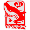 Option2 - Опция2