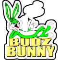 Bagz Bunny