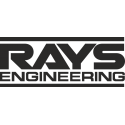 Rays engineering