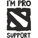 I am pro Dota support