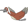 Качка Качка