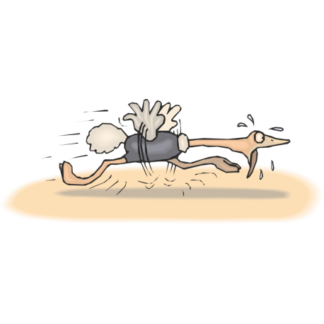 Бегущий страус