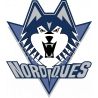 Логотип Quebec Nordiques - Квебек Нордикс