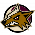 Логотип Arizona Coyotes - Аризона Койотис