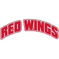 Логотип Detroit Red Wings - Детройт Ред Уингз