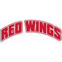 Логотип Detroit Red Wings - Детройт Ред Уингз